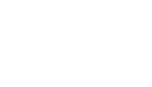 9900 WEST Logo